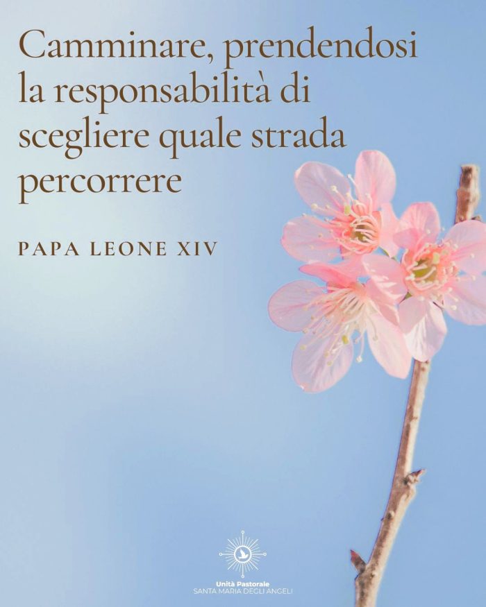 20250620 Frase Papa