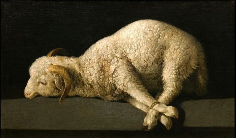 20260118 - ORIZZONTALE -  ANNO A - II TO -  Francisco_de_Zurbarán_ Agnus_Dei - 1